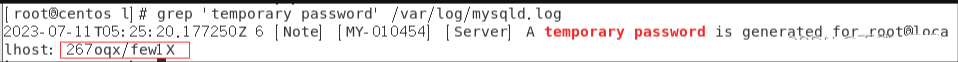 image-1697781411493